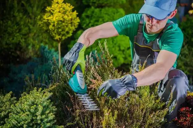 landscaping services Housatonic